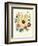 Hibiscus Moscheutos and Lavatera Treloba-null-Framed Giclee Print