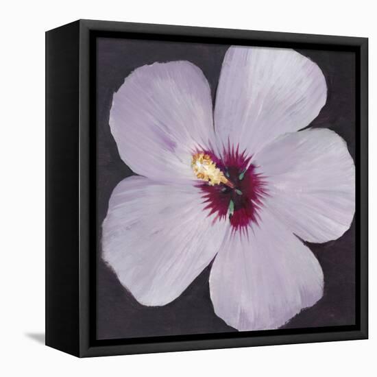 Hibiscus Portrait I-Tim OToole-Framed Stretched Canvas