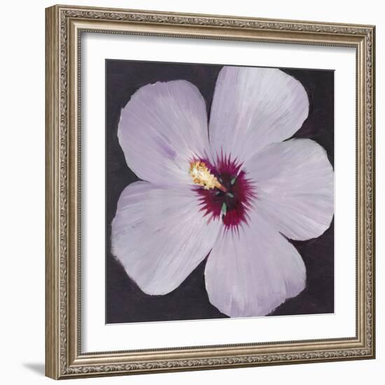 Hibiscus Portrait I-Tim OToole-Framed Premium Giclee Print