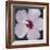 Hibiscus Portrait I-Tim OToole-Framed Premium Giclee Print