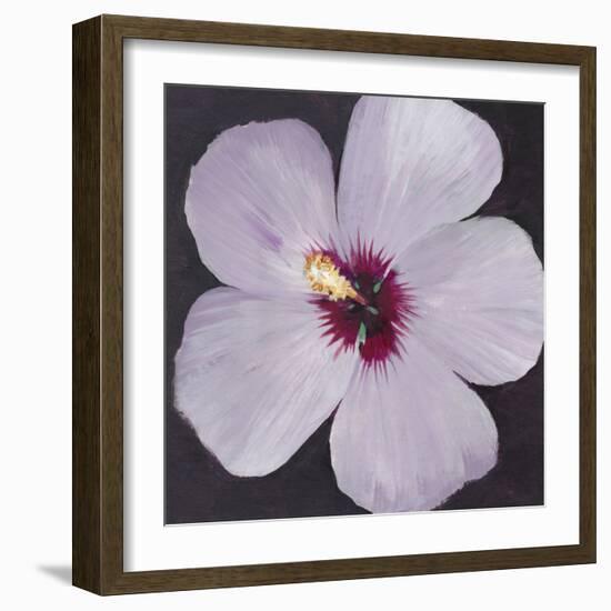 Hibiscus Portrait I-Tim OToole-Framed Art Print