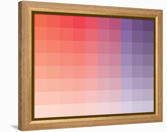 Hibiscus Rectangle Spectrum-Kindred Sol Collective-Framed Stretched Canvas