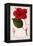 Hibiscus Rosa-Sinensis, 1836-Pancrace Bessa-Framed Premier Image Canvas