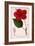 Hibiscus Rosa-Sinensis, 1836-Pancrace Bessa-Framed Giclee Print