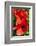 Hibiscus, Tunisia-Nico Tondini-Framed Photographic Print