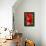 Hibiscus, Tunisia-Nico Tondini-Framed Premier Image Canvas displayed on a wall