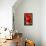 Hibiscus, Tunisia-Nico Tondini-Framed Premier Image Canvas displayed on a wall