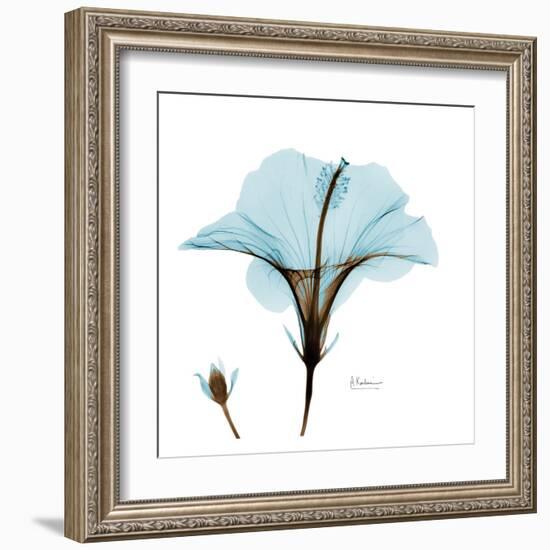 Hibiscus Wave-Albert Koetsier-Framed Art Print