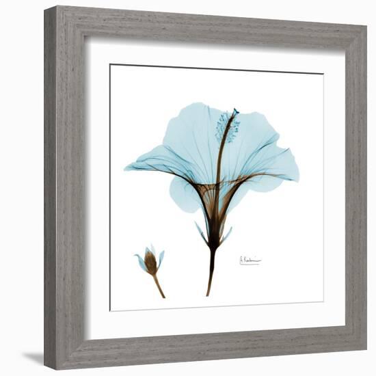 Hibiscus Wave-Albert Koetsier-Framed Art Print