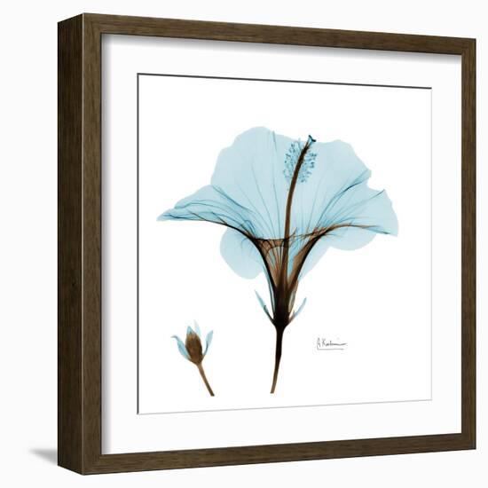 Hibiscus Wave-Albert Koetsier-Framed Art Print