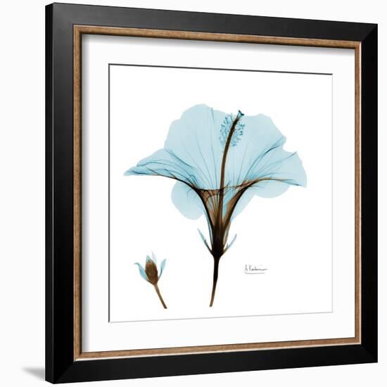 Hibiscus Wave-Albert Koetsier-Framed Art Print