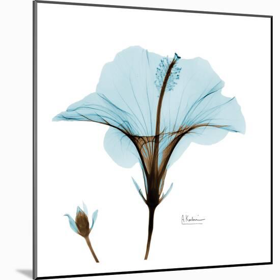 Hibiscus Wave-Albert Koetsier-Mounted Art Print