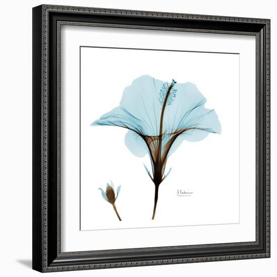 Hibiscus Wave-Albert Koetsier-Framed Art Print