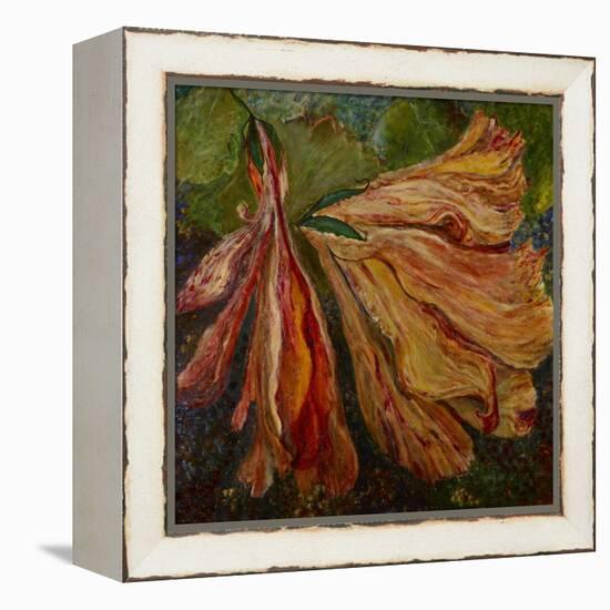 Hibiscus Wilt-jocasta shakespeare-Framed Premier Image Canvas