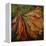 Hibiscus Wilt-jocasta shakespeare-Framed Premier Image Canvas