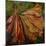 Hibiscus Wilt-jocasta shakespeare-Mounted Giclee Print