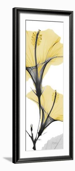 Hibiscus Yellow-Albert Koetsier-Framed Art Print