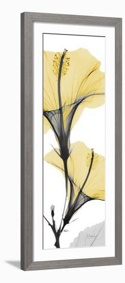 Hibiscus Yellow-Albert Koetsier-Framed Art Print