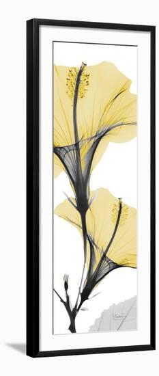 Hibiscus Yellow-Albert Koetsier-Framed Art Print