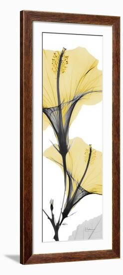 Hibiscus Yellow-Albert Koetsier-Framed Art Print