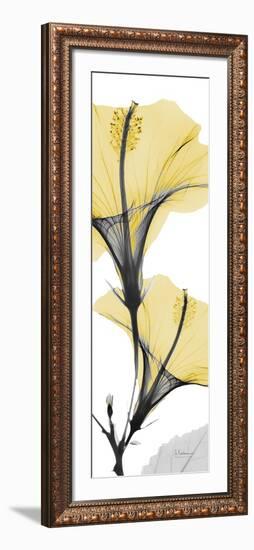 Hibiscus Yellow-Albert Koetsier-Framed Art Print