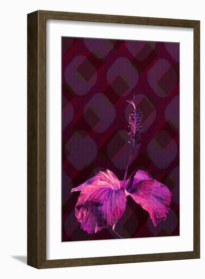 Hibiscus3, 2019, (Digital)-Scott J Davis-Framed Giclee Print