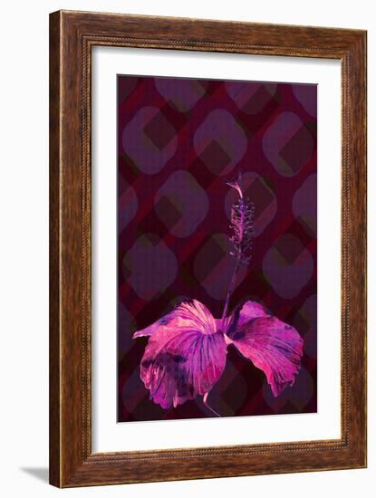 Hibiscus3, 2019, (Digital)-Scott J Davis-Framed Giclee Print