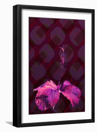 Hibiscus3, 2019, (Digital)-Scott J Davis-Framed Giclee Print