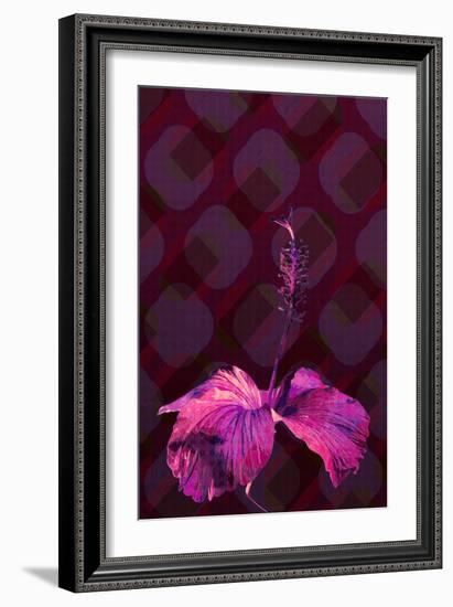 Hibiscus3, 2019, (Digital)-Scott J Davis-Framed Giclee Print