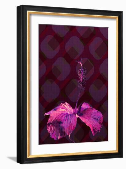 Hibiscus3, 2019, (Digital)-Scott J Davis-Framed Giclee Print