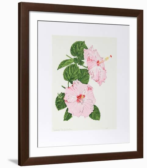 Hibiscus-Marion Sheehan-Framed Collectable Print