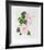 Hibiscus-Marion Sheehan-Framed Collectable Print