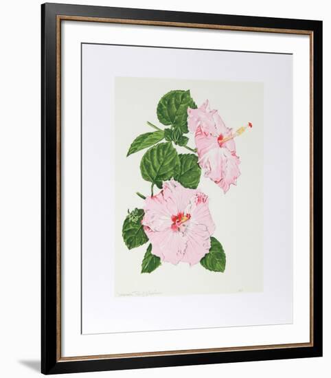 Hibiscus-Marion Sheehan-Framed Collectable Print