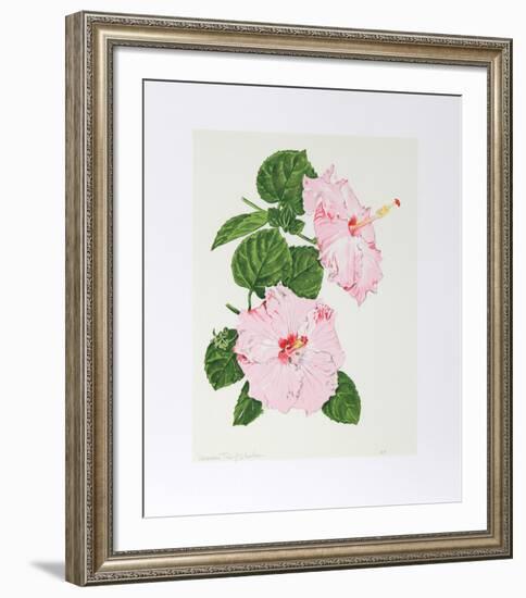 Hibiscus-Marion Sheehan-Framed Collectable Print