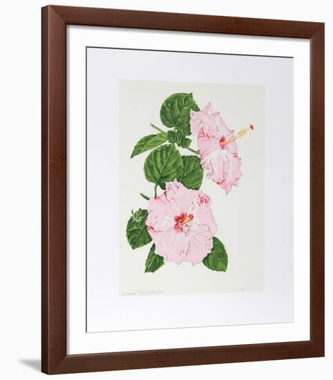 Hibiscus-Marion Sheehan-Framed Collectable Print