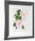 Hibiscus-Marion Sheehan-Framed Collectable Print