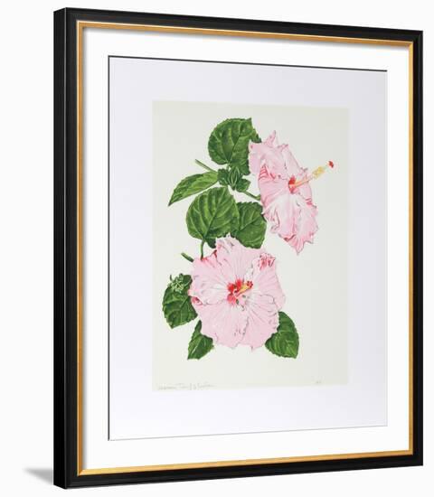 Hibiscus-Marion Sheehan-Framed Collectable Print