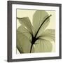 Hibiscus-Steven N^ Meyers-Framed Art Print