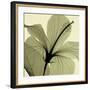 Hibiscus-Steven N^ Meyers-Framed Art Print