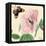 Hibiscus-Louis Van Houtte-Framed Stretched Canvas