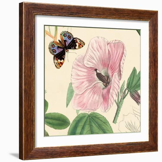 Hibiscus-Louis Van Houtte-Framed Art Print