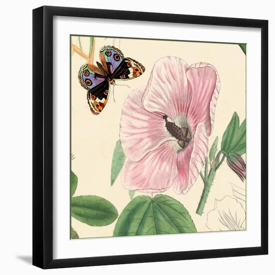 Hibiscus-Louis Van Houtte-Framed Art Print