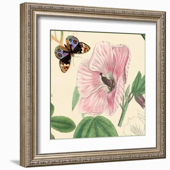 Hibiscus-Louis Van Houtte-Framed Art Print