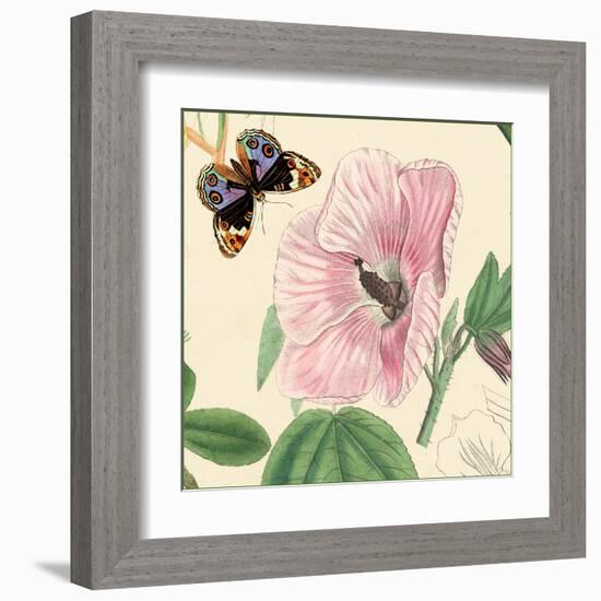 Hibiscus-Louis Van Houtte-Framed Art Print