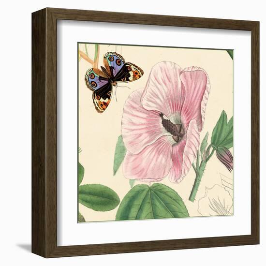 Hibiscus-Louis Van Houtte-Framed Art Print