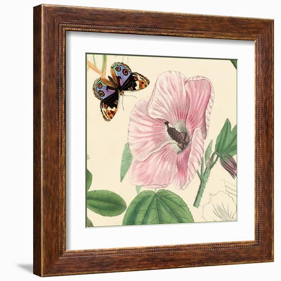 Hibiscus-Louis Van Houtte-Framed Art Print