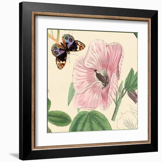 Hibiscus-Louis Van Houtte-Framed Art Print