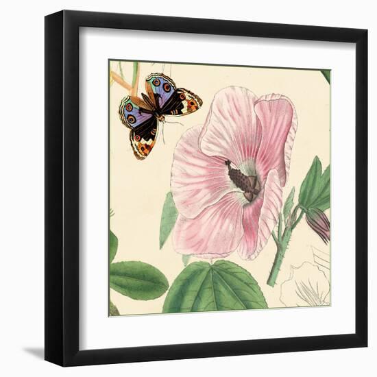 Hibiscus-Louis Van Houtte-Framed Art Print