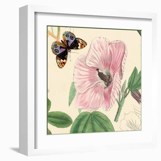 Hibiscus-Louis Van Houtte-Framed Art Print