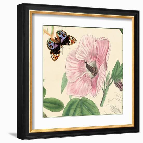 Hibiscus-Louis Van Houtte-Framed Art Print